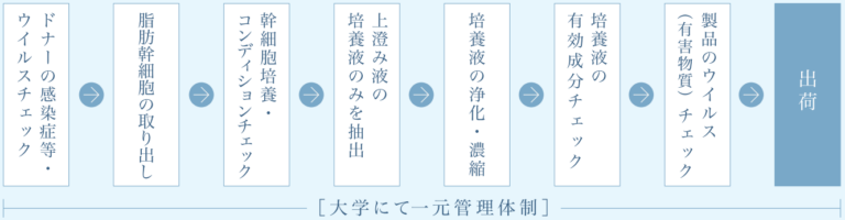 安全性_図