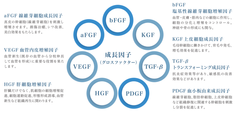 成長因子の図